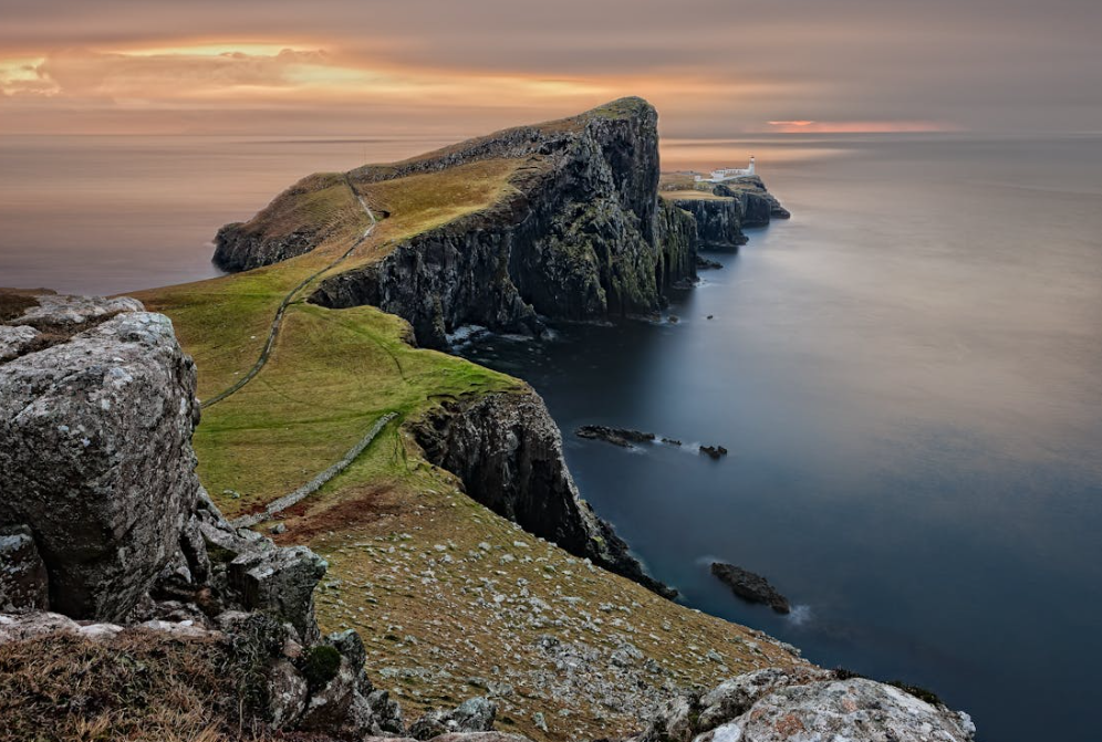 Birdwatching in Scotland