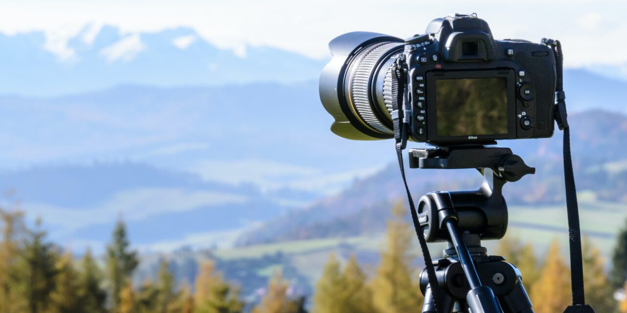 Camera Lens Types for Bird Watching