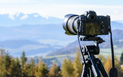 Camera Lens Types for Bird Watching