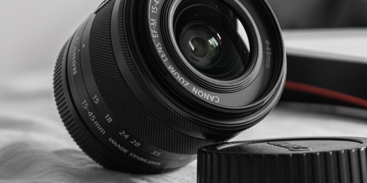 Nikon Lenses for Bird Photography
