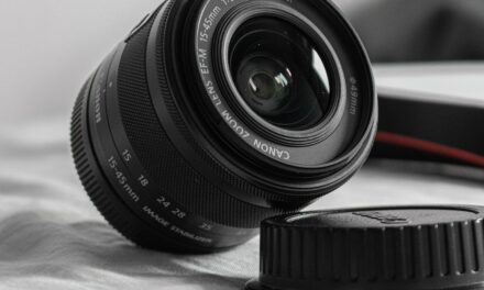 Nikon Lenses for Bird Photography