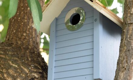 Sparrow Nesting Boxes