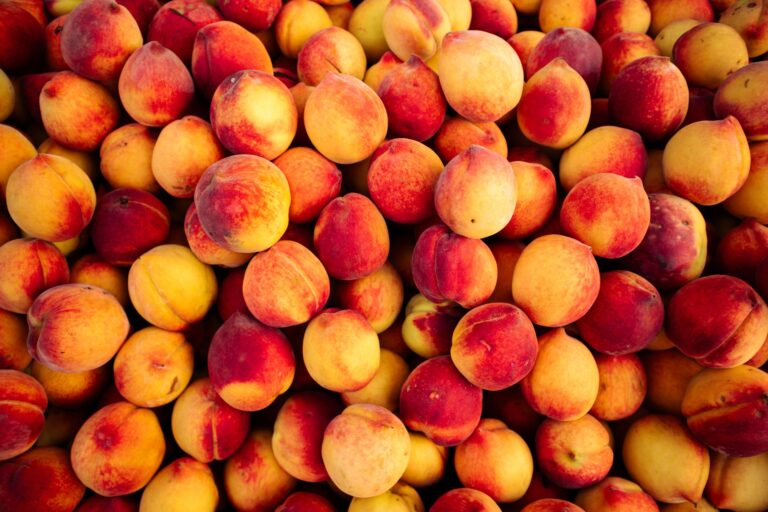 A vibrant close-up of fresh ripe apricots with a red hue, perfect for food themes.
