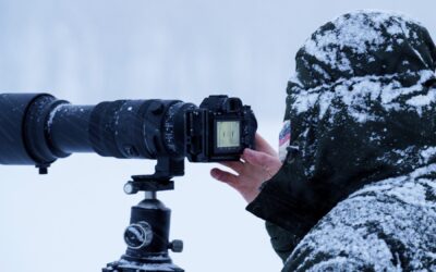 Getting Up Close and Personal: How a 600mm Camera Lens Elevates Birdwatching Adventures