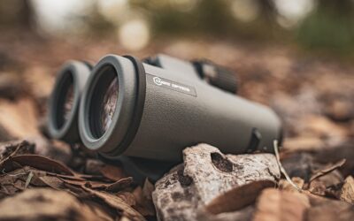 Bird Watching Binoculars: Choosing the Best Pair for Your Needs