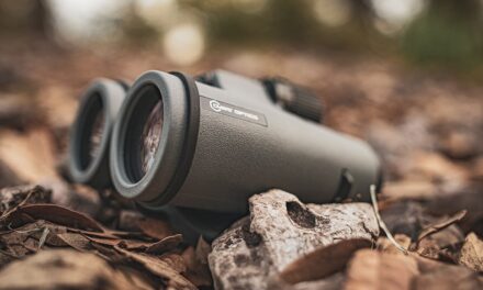 Bird Watching Binoculars: Choosing the Best Pair for Your Needs