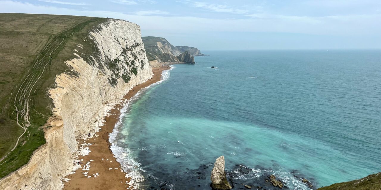 From Coastal Cliffs to Countryside: A Guide to Dorset’s Birdlife