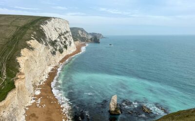 From Coastal Cliffs to Countryside: A Guide to Dorset’s Birdlife