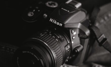 Birdwatching Made Easy: How Nikon is Revolutionizing the Hobby