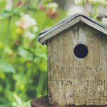 Bird House Styles: Exploring Traditional and Modern Designs