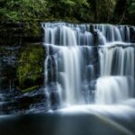 Exploring the Rhondda Rivers: A Journey Through Nature’s Beauty