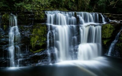 Exploring the Rhondda Rivers: A Journey Through Nature’s Beauty