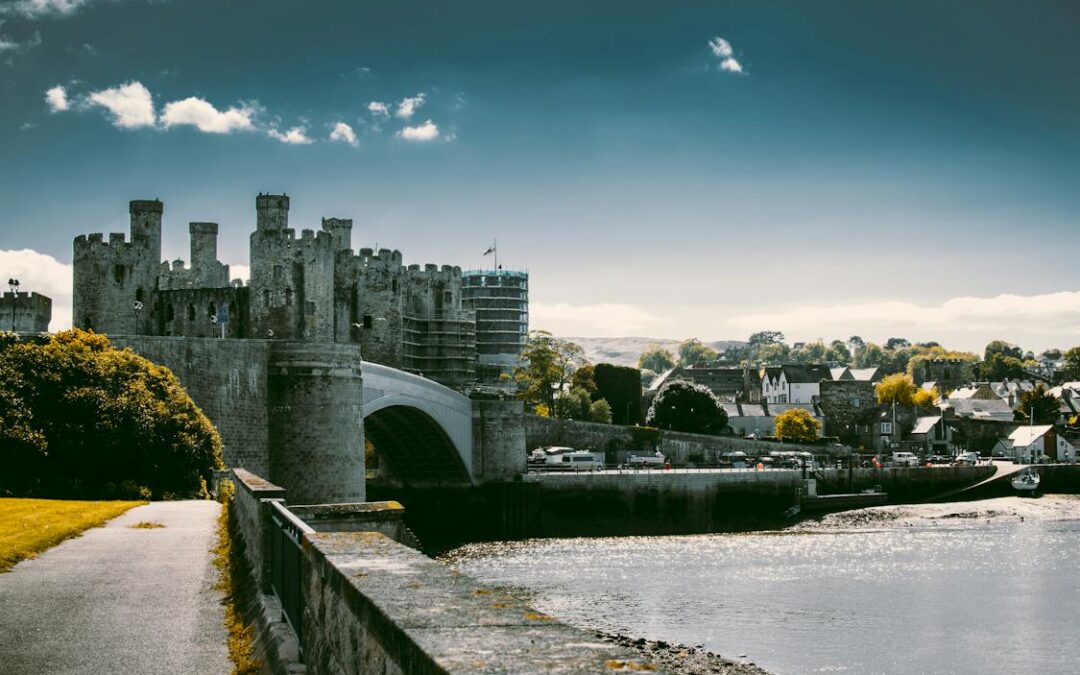 Birding in the Heart of Wales: A Journey through Nature