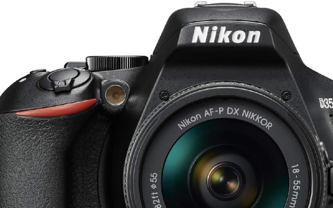 Nikon D3500: Great Budget Camera for Birdwatching