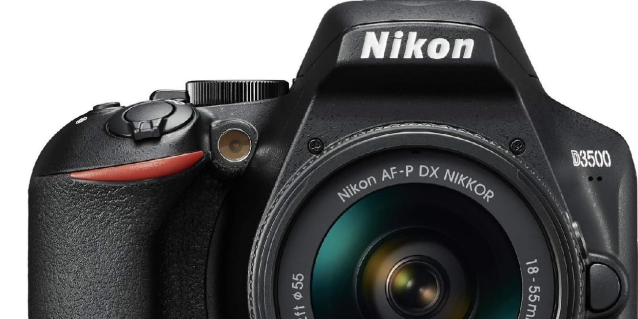 Nikon D3500: Great Budget Camera for Birdwatching