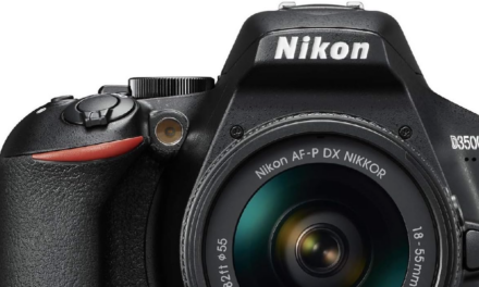 Nikon D3500: Great Budget Camera for Birdwatching