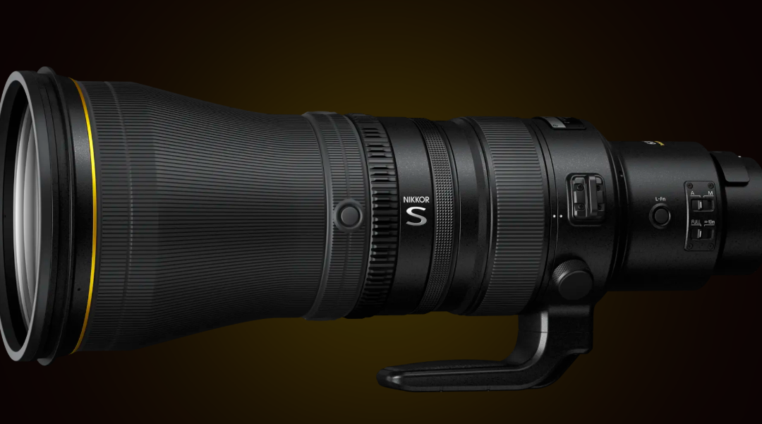 600mm Lens: Why Every Birdwatcher Should Have One