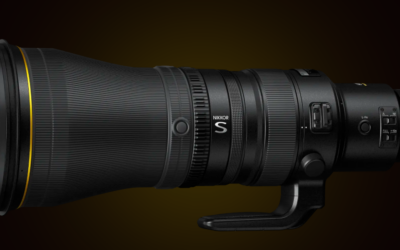 600mm Lens: Why Every Birdwatcher Should Have One