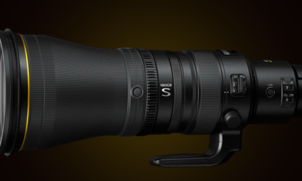 600mm Lens: Why Every Birdwatcher Should Have One