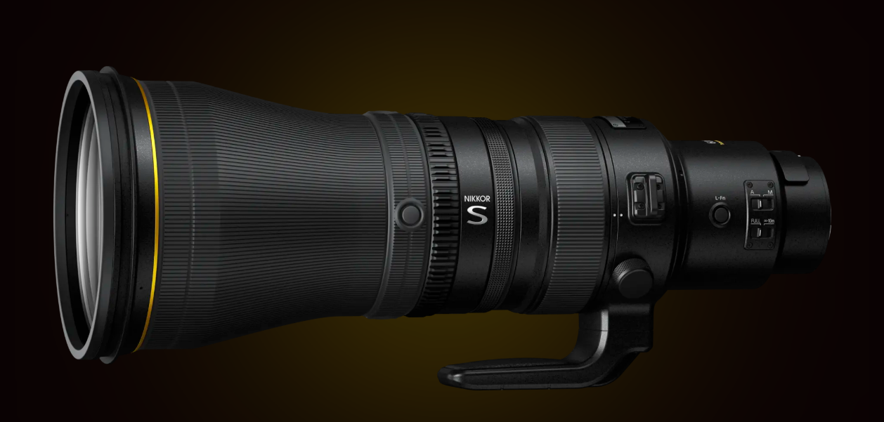 600mm Lens: Why Every Birdwatcher Should Have One