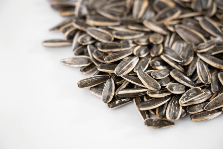 What birds eat sunflower seeds
