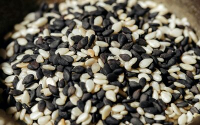 The Ultimate Guide to Feeding Birds: Exploring Lesser-Known Seeds