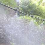 The Role of Misters in Supporting Biodiversity & Bird-Friendly Habitats