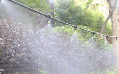The Role of Misters in Supporting Biodiversity & Bird-Friendly Habitats