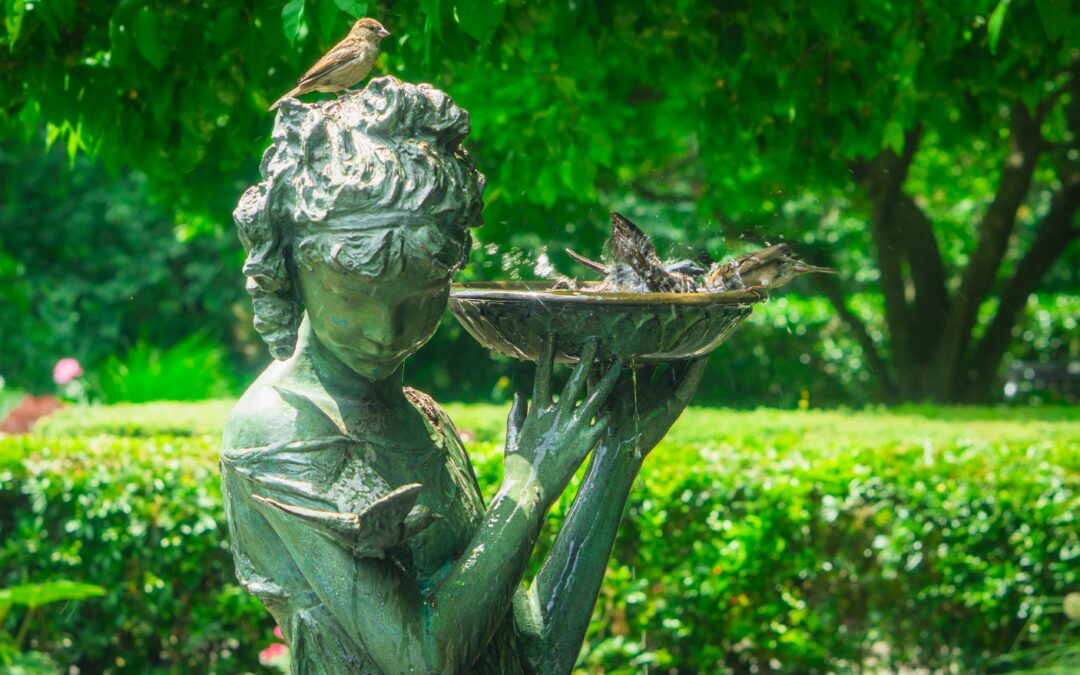 Do Solar-Powered Bird Baths Work in the UK Climate?
