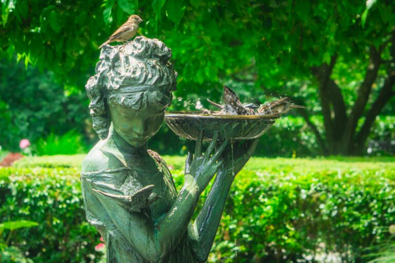 Solar Powered Bird Bath