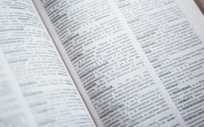 Birdwatching Glossary: Essential Terms for Beginners and Enthusiasts